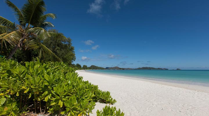 Acajou-Hotel-PRI-Seaview-Strand-Beach-Anse-Volbert-Cote-D-Or