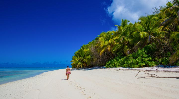 Alphonse-Island-SEZ-Beach-Strand-Reef-Rev