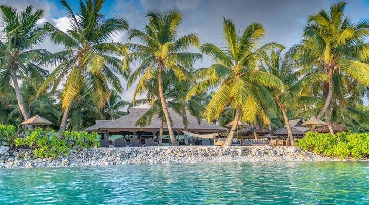 Alphonse-Island-Sea-Hav-Ocean-Lagoon-Lagun-Restaurang