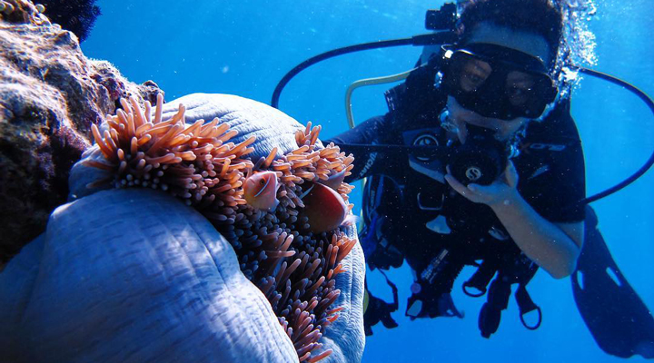 Amanpulo-Diving-Dykning-Dyk-Dyka