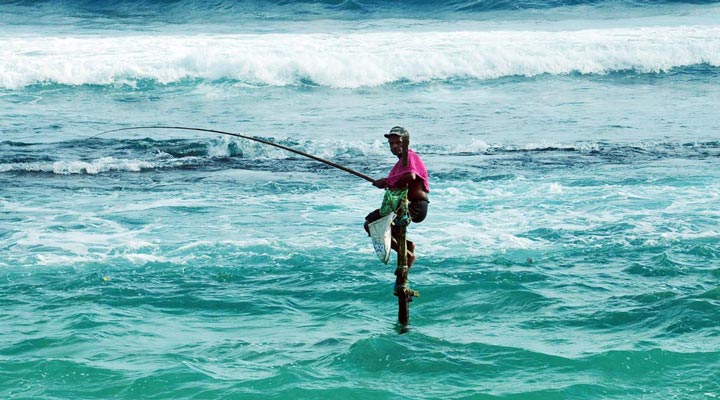 Amari-Galle-Galle-Fishing-Fiska-Fisk-Fish-Sri-Lanka