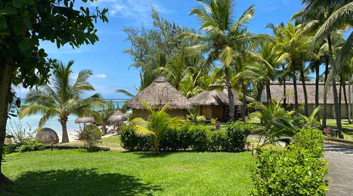 Ambre-Resort-Spa-Greenery-strand-sand-palm