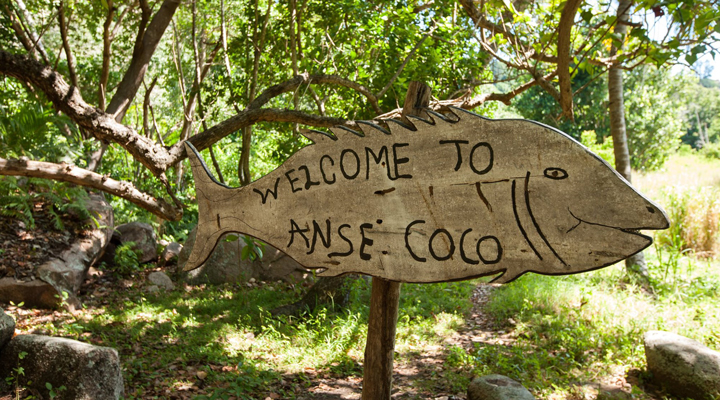 Anse-Coco-La-Digue-Forest-Skog-Walk-Beach-Strand