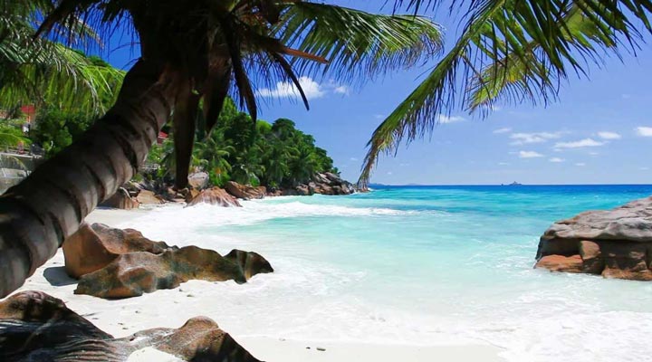 Anse-Patates-Beach-Anse-Beach-Strand-La-Digue-SEZ