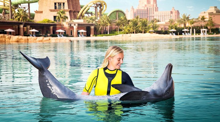 Atlantis-Dolphin-Dubai-10