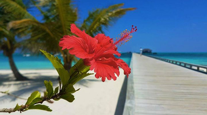 Atmosphere-Kanifushi-Maldives