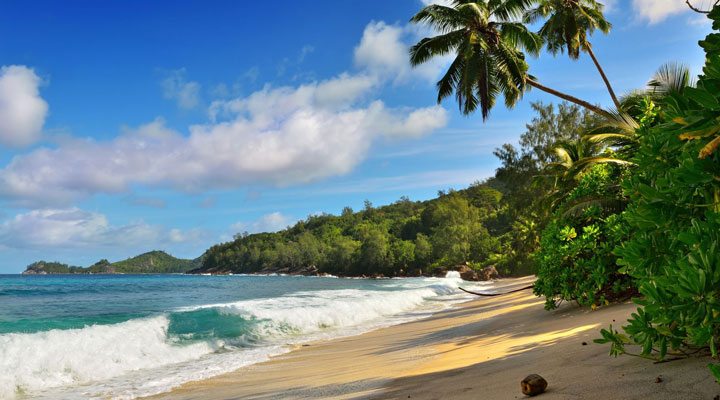 Banyan-Tree-Beaches