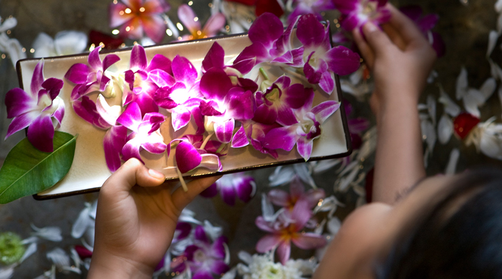 Banyan-Tree-Phuket-Wellbeing-Flowers-Orchid