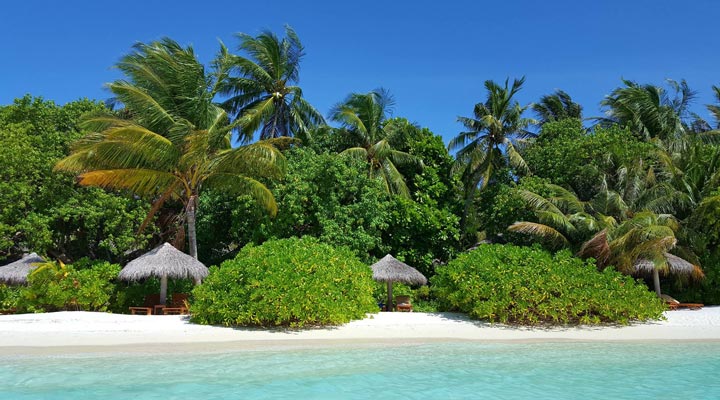 Baros-Maldives-Spa-Beach-Strand-Sand-Palm-Sandstrand