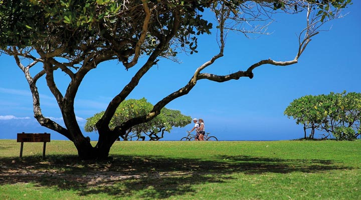 Beachcomber-Shandrani-Cykel-Cycle-Tree-Trad-Grass-Gras