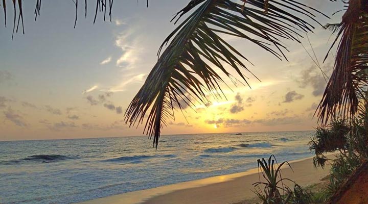 Bentota-Beach-Strand-Sunset-Solnedgang-Palm-Leaf