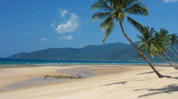 Berjaya-Tioman-Palms