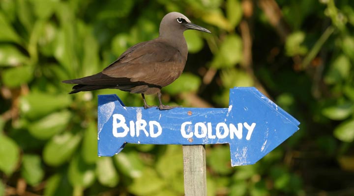 Bird-Island-Lodge-Bird-Sign