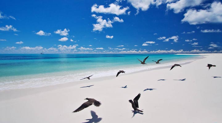 Bird-Island-Lodge-Birds-Lagoons-Lagun-Sand-Beach-Strand