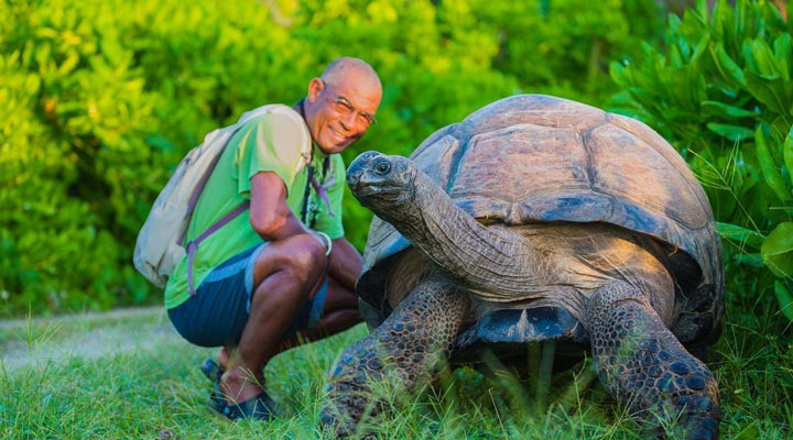 Bird-Island-Lodge-Turtle-Giant-Tortoise-Turtless