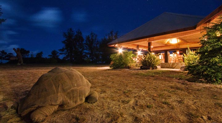 Bird-Island-Lodge-Turtle-Night-Natt