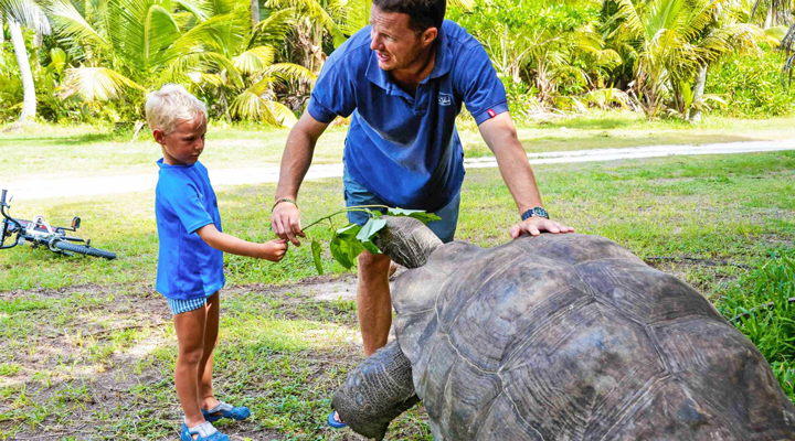 Blue-Safari-Seychelles-Turtle-Forest-Palm-1