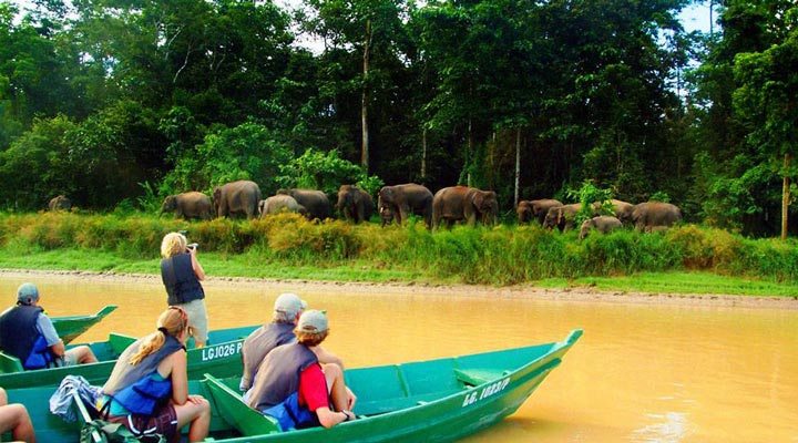 Borneo-Eco-Tours-Sukau-Sepilok-Sandakan-MalaysianBorneo