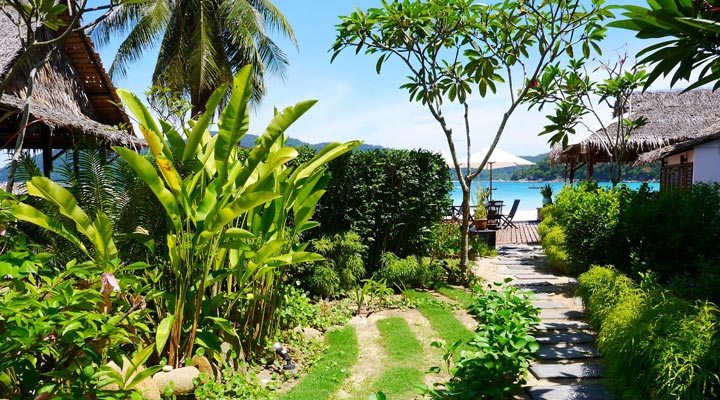 Bubu-Long-Beach-Perhentian-Kecil-Bubu-Garden-Tradgard-Seaview-View-Utsikt