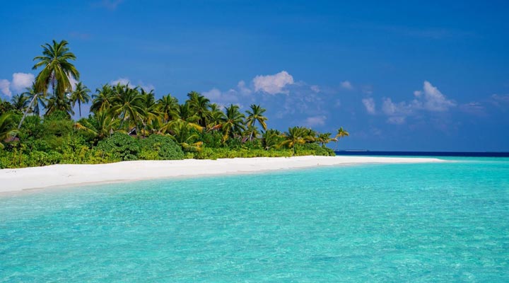 Carpe-Diem-Beach-Resort-Spa-Maldives-Beach-Strand-Lagoon-Lagun-Palms