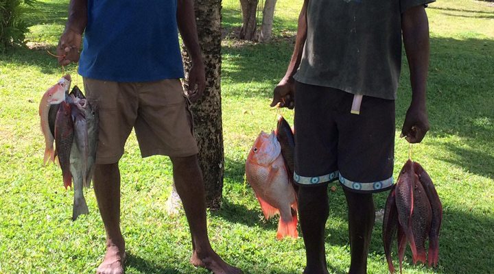 Chalet-Anse-Forbans-Fishermen-Fish-Cath-of-the-day