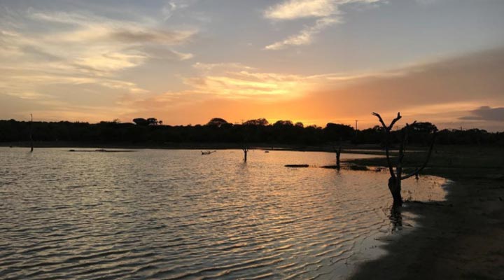 Cinnamon-Wild-Yala-Lake-Lakes-Sjo-Sunset-Solnedgang