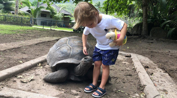 Constance-Ephelia-Resort-Spa-Turtle-Aldabratortoise-Aldabragianttortoise