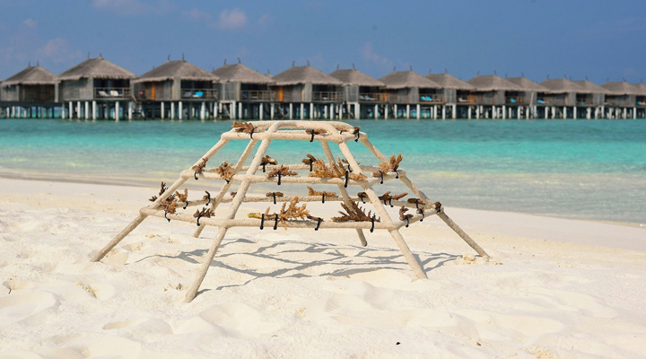 Constance-Moofushi-Island-Resort-Spa-Sand-Coral-Korall-Koraller