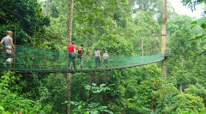 Danum-Valley-Canopy-Walkway-Tradbro-Tradbroar