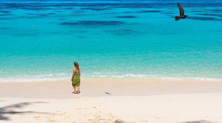 Denis-Island-Private-Beach-Strand-Sand-Lagoon-Lagun-Bird