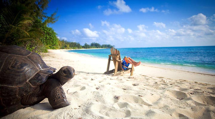 Denis-Private-Island-Resort-Spa-Turtle-Turtles-Beach-Strand