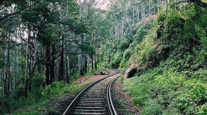 Ella-CMB-Mountain-Forest-Train-Tag-Rail-Rails-Track