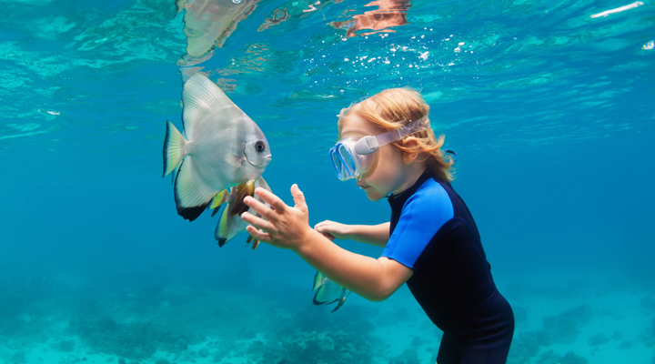 Faarufushi-Fisk-Snorkla-Barn