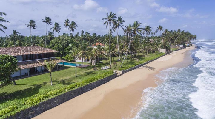 Frangipani-Tree-Sea-Ocean-Hav-Strand-Beach-Sand