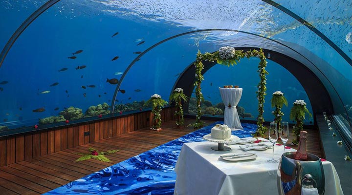 Hurawalhi-Island-Resort-Restaurant-Underwaterrestaurant-Restaurang-Undervattensrestaurang