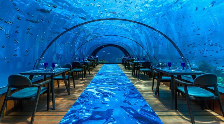 Hurawalhi-Underwater-Restaurant-Hurawalhiunderwaterrestaurant