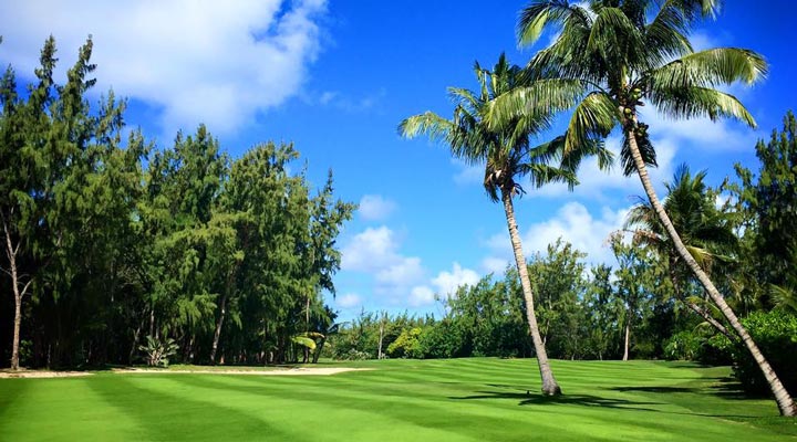 Ile-Aux-Cerf-Golf-Course-Golfbana-Ileauxcerfs-Golfing