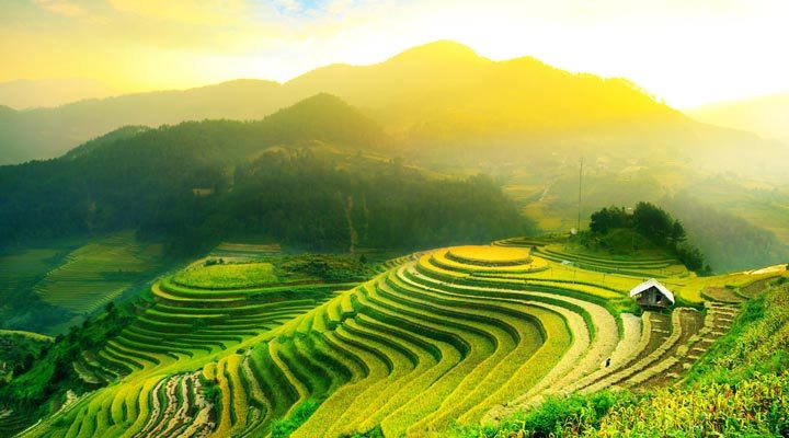 Indonesia-Indonesien-Bali-Ricefield