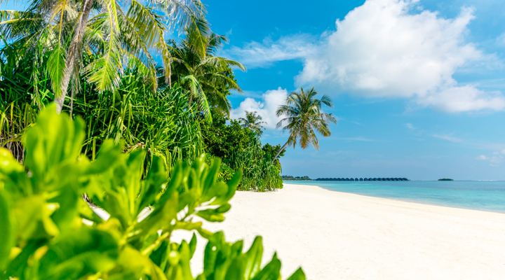 Jawakara-Islands-Beach-Strand-Greenery-stranden-sand-lagun