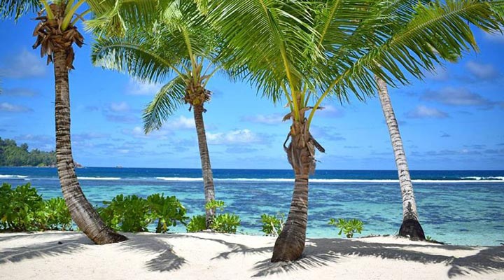 Kempinski-SEZ-Palm-Beach-Coralreef-View