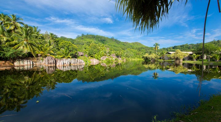 Kempinski-Seychelles-Lagoon-Lagun-Lake-Sjo-Palm-Grass