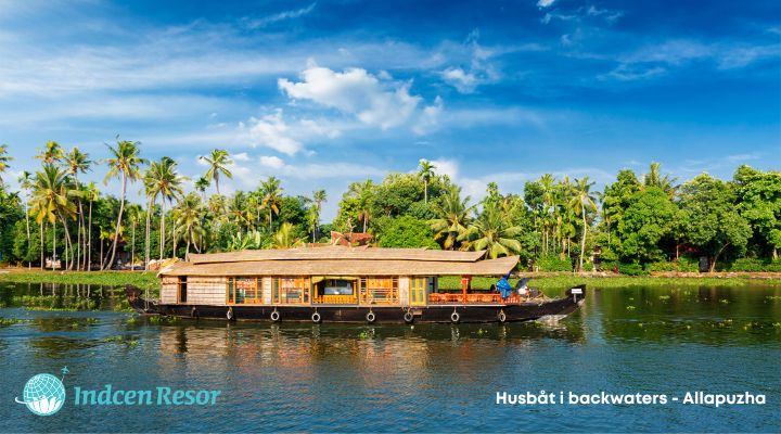 Kerala-Husbat-i-backwaters