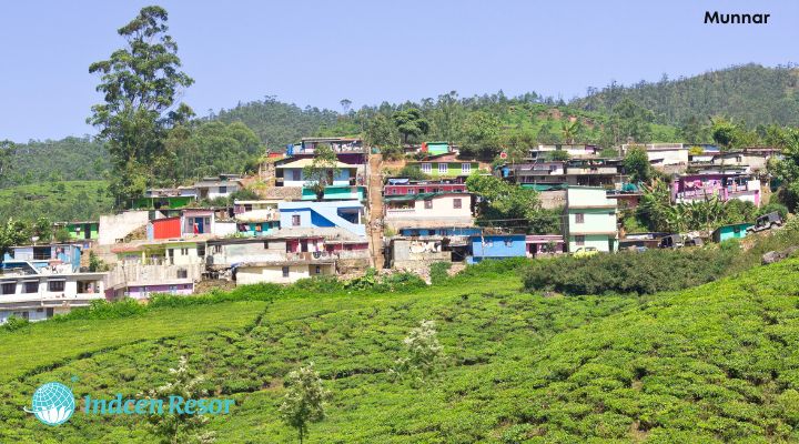 Kerala-Munnar