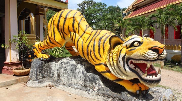 Krabi-Tiger-Temple