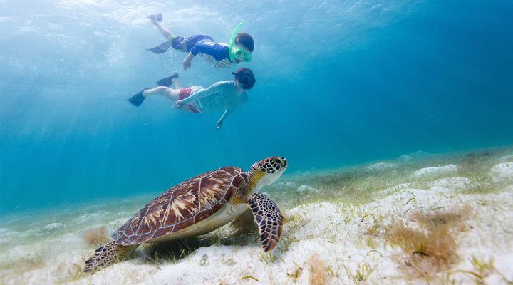 Kuredu-Turtle-Kids-Maldives-Maldiverna-Barn-1