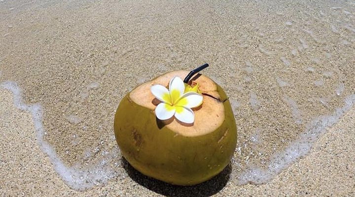 La-Pirogue-Resort-Spa-Coconut-Drink