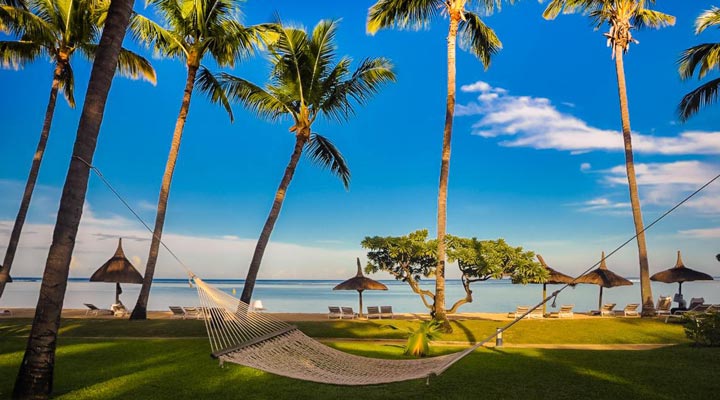 La-Pirogue-Resort-Spa-Palms-Palm-Swing