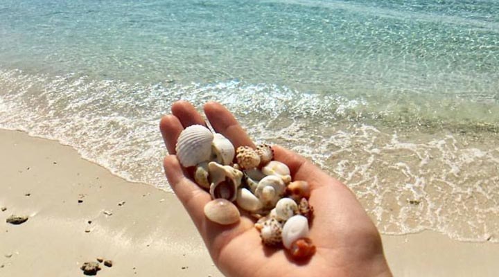 Laguna-Redang-Resort-Shell-Sand-Beach-Strand