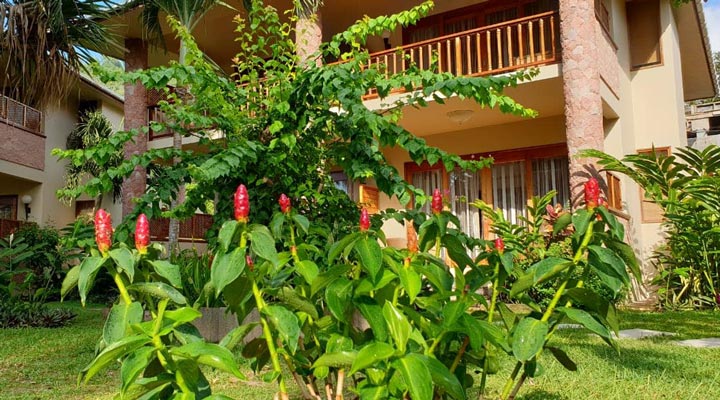 Le-Duc-Resort-Hotel-Spa-Garden-Grass-Hotel-Hotell-Room-Rum-Chalet