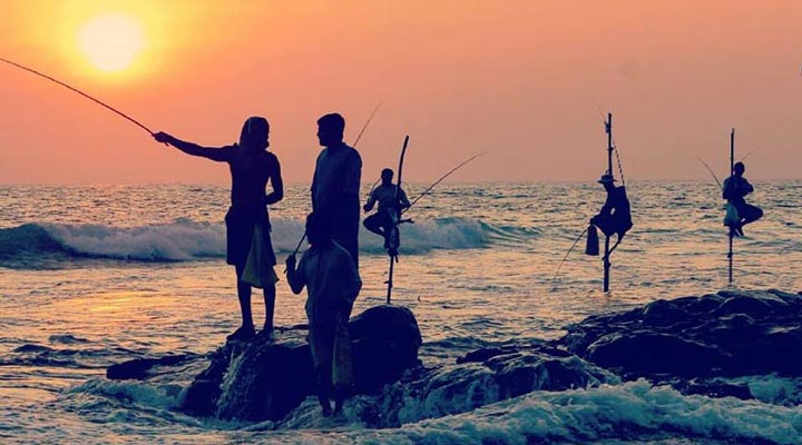 Lions-Rest-Hotel-Resort-Sunset-Fishing-Fiske-Sri-Lanka-Fiska-Fish